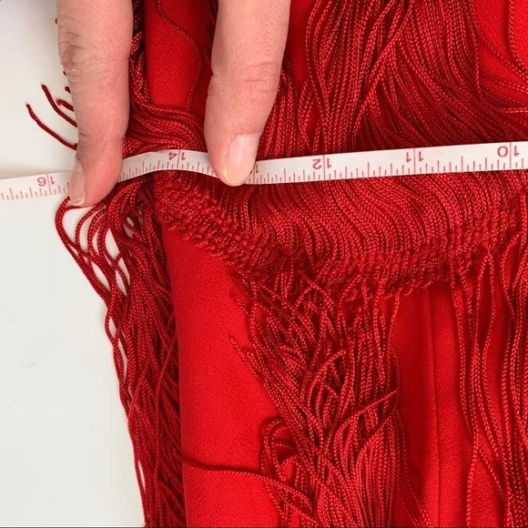 Red Tiered Fringe 1920’s Flapper Dress Small - Picture 10 of 16